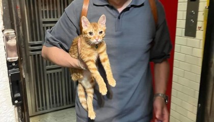 Kaiyun Sports-开云体育-博主发现猫逃家立刻去追，抓到猫后才发现自己没穿裤子…咪：这不是变态吗